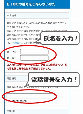 ベネッセDM停止電話番号入力