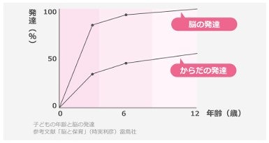 子供の年齢と脳の発達