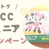 ECCジュニア　キャンペーン