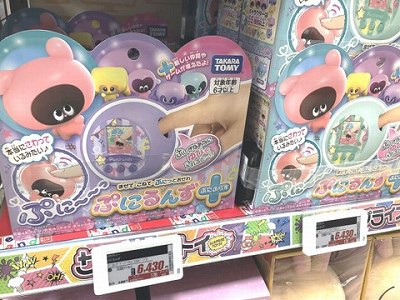 エデュオンのぷにるんず